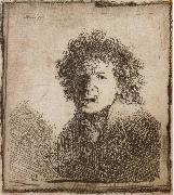 REMBRANDT Harmenszoon van Rijn Self-Portrait,Open-Mouthed,As if Shouting Sweden oil painting artist